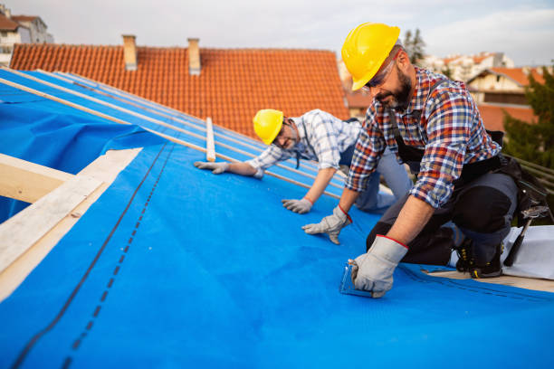 Best Roof Leak Repair  in Ames Lake, WA